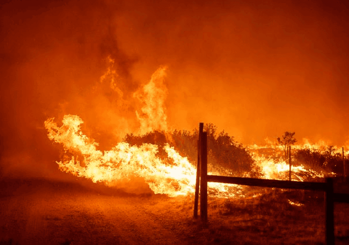 שריפת יער בקליפורניה: מאות פונו מביתם כאשר אלפי דונם עולים באש 