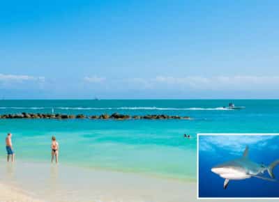 אימה בים: כריש תקף ילד בן 8 בזמן דיג עם אביו ואיבד כמות דם משמעותית