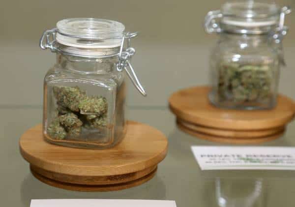 קליפורניה נושמת לרווחה: חנויות המריחואנה "חיוניות" ולא ייסגרו