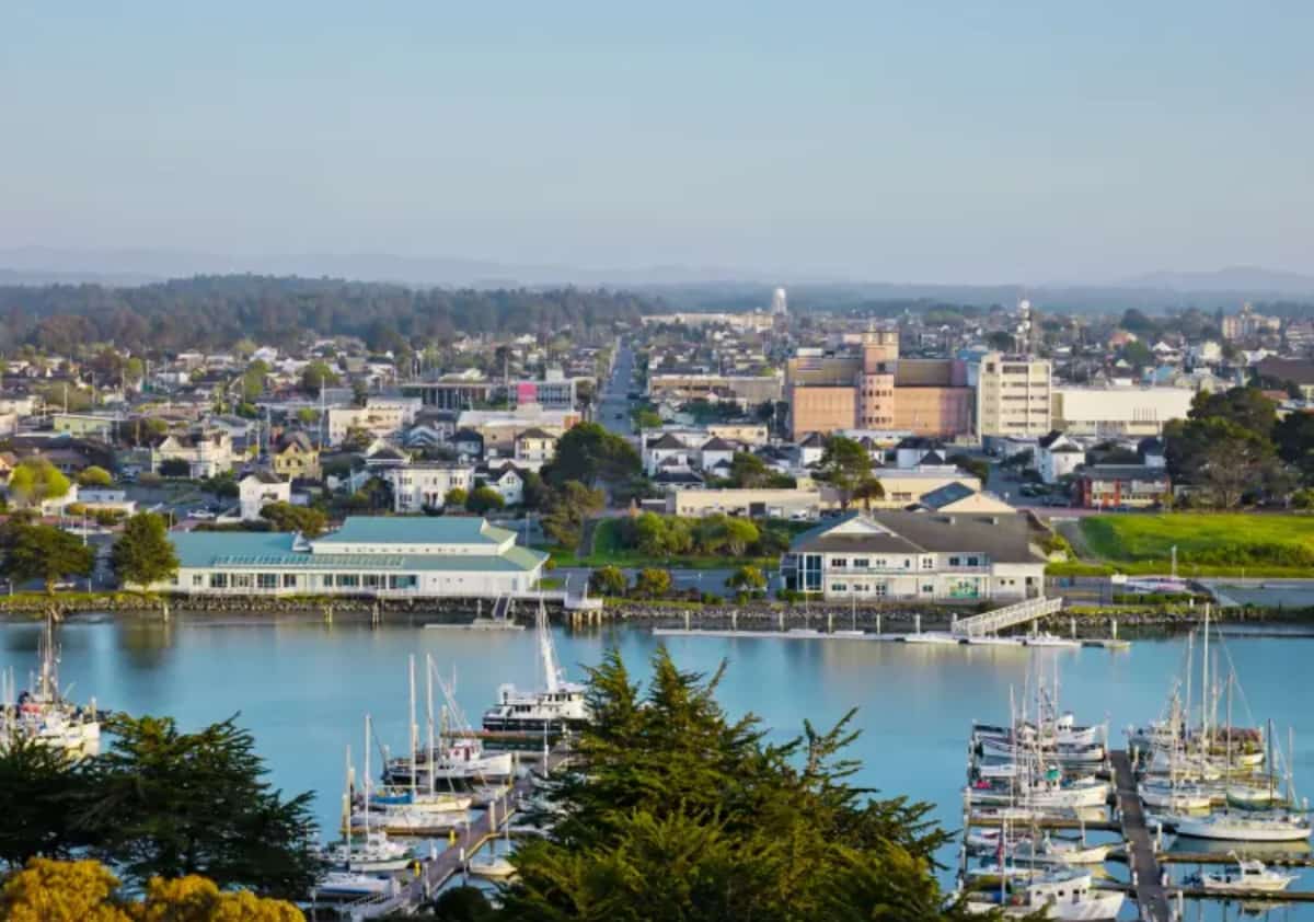 מאות טורבינות בגובה מגדל אייפל מול חופי צפון קליפורניה: מהפכה אנרגטית במיליארדי דולרים