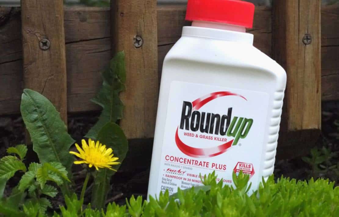 ‏הושג ניצחון מול מונסנטו: ענקית הכימיקלים נאלצה לשלם יותר מ-1.5 מיליארד דולר בפסק דין 'ראונדאפ‏'