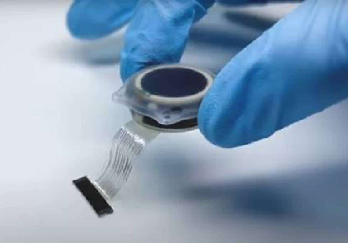 "אכזריות כלפי בעלי חיים": חברת שבבי המוח של אילון מאסק תחת חקירה פדרלית בארה"ב