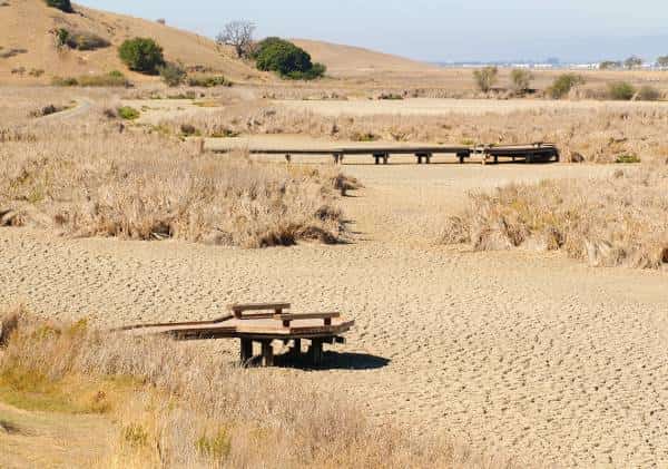קליפורניה מתייבשת: הגשם נעלם, ומי שעלול לשלם את המחיר הוא הצרכן הממוצע
