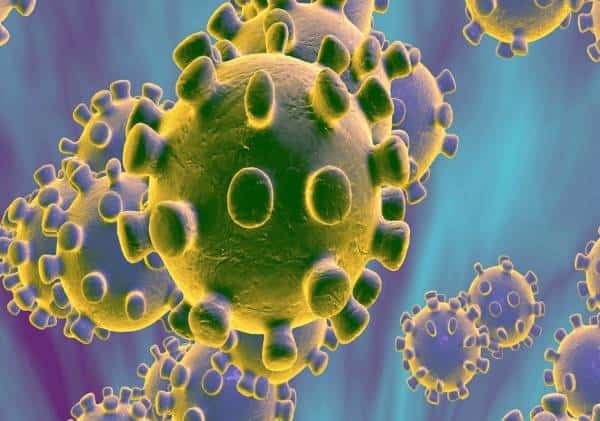 מקרה מוות ראשון בקליפורניה מנגיף הקורונה: מחוז לוס אנג'לס הכריז על מצב חירום רפואי