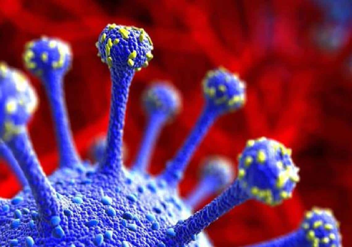 הרצף החדש של נגיף הדלתא שמעורר פאניקה בבריטניה התגלה עכשיו גם בארה"ב