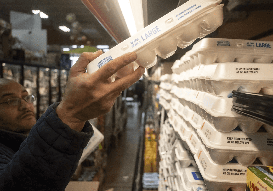 מחירי הביצים ירדו בחדות – אך נראה שהמשבר עוד לא מאחורינו