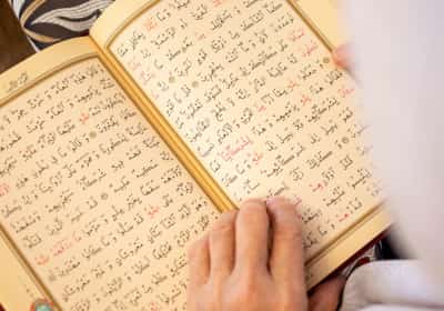 עימות בעיר דירבורן: פעיל ימין ניסה להצית קוראן וחבט בו עם בייקון