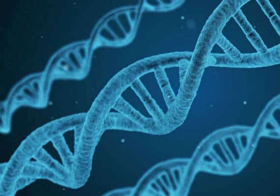 מאגר המידע הרפואי הגדול ביותר יוצא לדרך, וייתכן שהוא ישנה את פני הרפואה