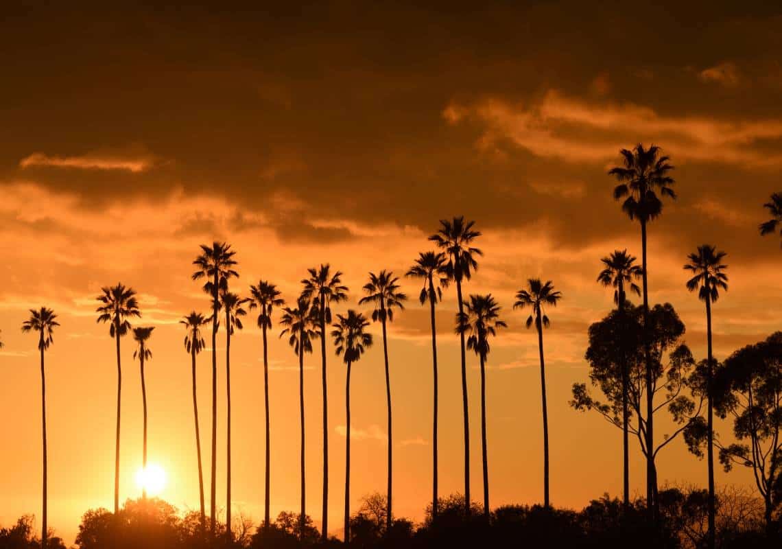 בשירות מזג האוויר מזהירים: גל חום חריג בדרך לדרום קליפורניה