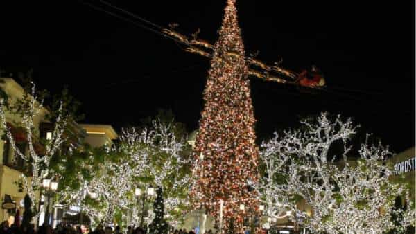 מקומות שחייבים להכיר באל איי ולבקר בכריסמס- מהעץ הכי גדול במדינה ועד הרחוב הכי מיוחד