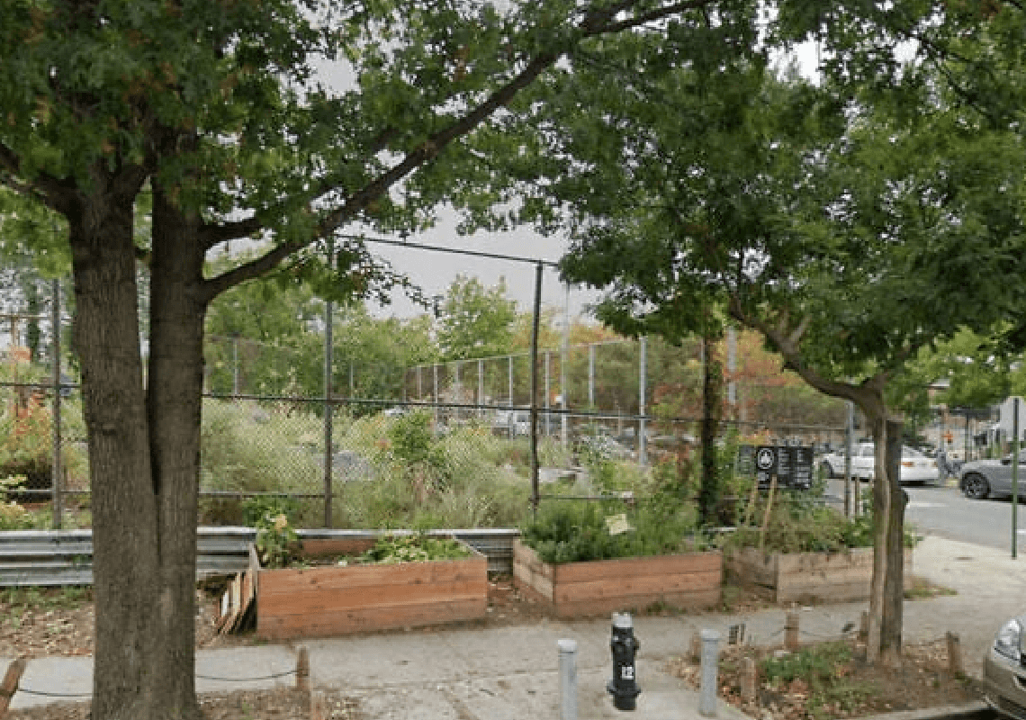 התנגדות לציונות כתנאי כניסה: גן קהילתי בקווינס מול סכנת סגירה