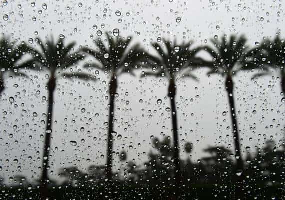 חשש כבד לשטפונות בדרום קליפורניה בעקבות סערה חורפית