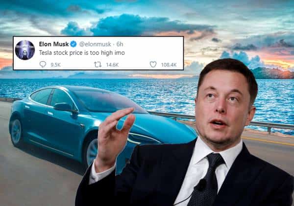 אילון מאסק צייץ כי "מניית טסלה יקרה מדי", וקיבל את מבוקשו