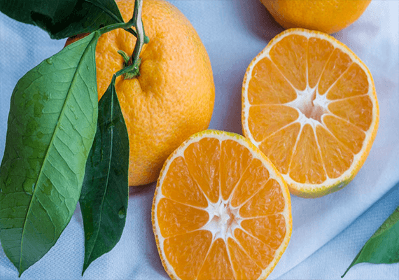 המומחים מגלים: אילו ויטמינים יגנו עלינו מפני נגיף השפעת