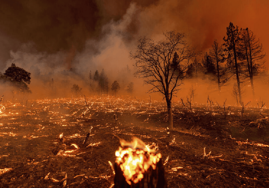 שריפות, מצב חירום וחשש לחיי אדם: שרב כבד ברחבי מערב ארה"ב, 54.4 מעלות ב"עמק המוות"