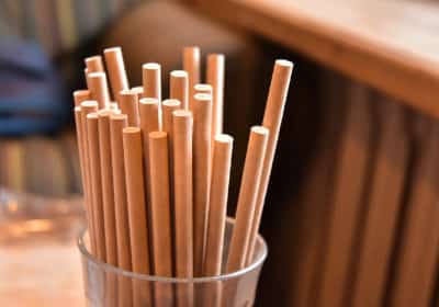 פלורידה פותחת במאבק בריאותי חדש: הפעם נגד קשיות מנייר