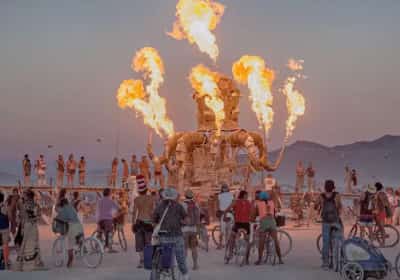 הברנינג מן הפך לזירת פשע - והזמן אוזל: משטרת נבדה נואשת למידע מהציבור