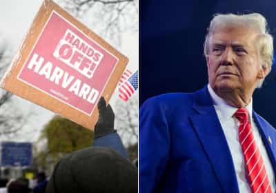 הרווארד תובעת את טראמפ על איסור רישום תלמידים זרים: "מחק רבע מהסטודנטים שלנו"
