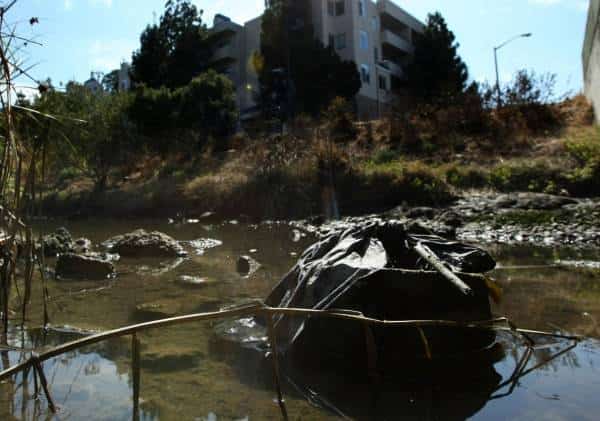 הסוכנות להגנת הסביבה נגד קליפורניה: "משבר ההומלסים פוגע באיכות המים"