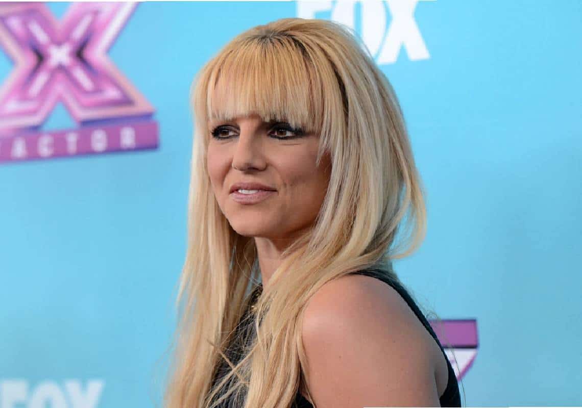 שני חברי קונגרס תומכים בבריטני: ״חירותם של אמריקאים רבים נשללת מהם שלא בצדק״