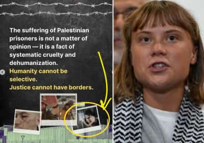 גרטה פרסמה פוסט על "סבלם של האסירים הפלסטינים" לצד תמונה של החטוף אביתר דוד