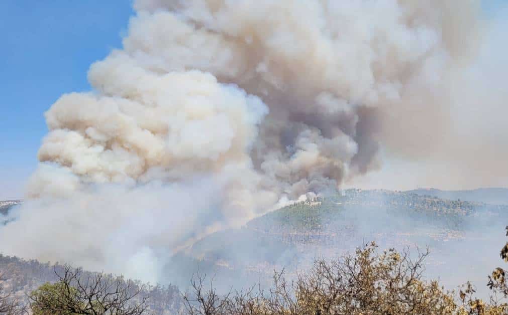 דעה: יום-הדין הסוני הולך ומתקרב לבית שלכם - ואף שוטר בישראל לא יגן עליכם