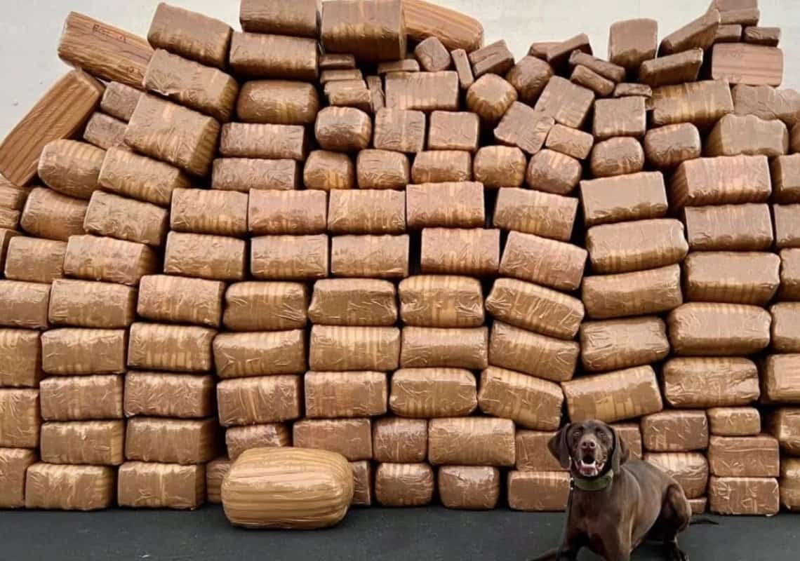 קליפורניה: 2.5 טון סמים אותרו במשאית שהגיעה ממקסיקו