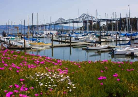 מחירי הדיור הגבוהים מביאים את תושבי סן פרנסיסקו לגור בדירות - אבל יש לזה מחיר