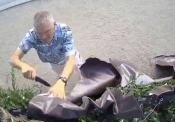 משחית שלט "בלאק לייבס מאטר" בדרום קליפורניה: עובד משרד השריף