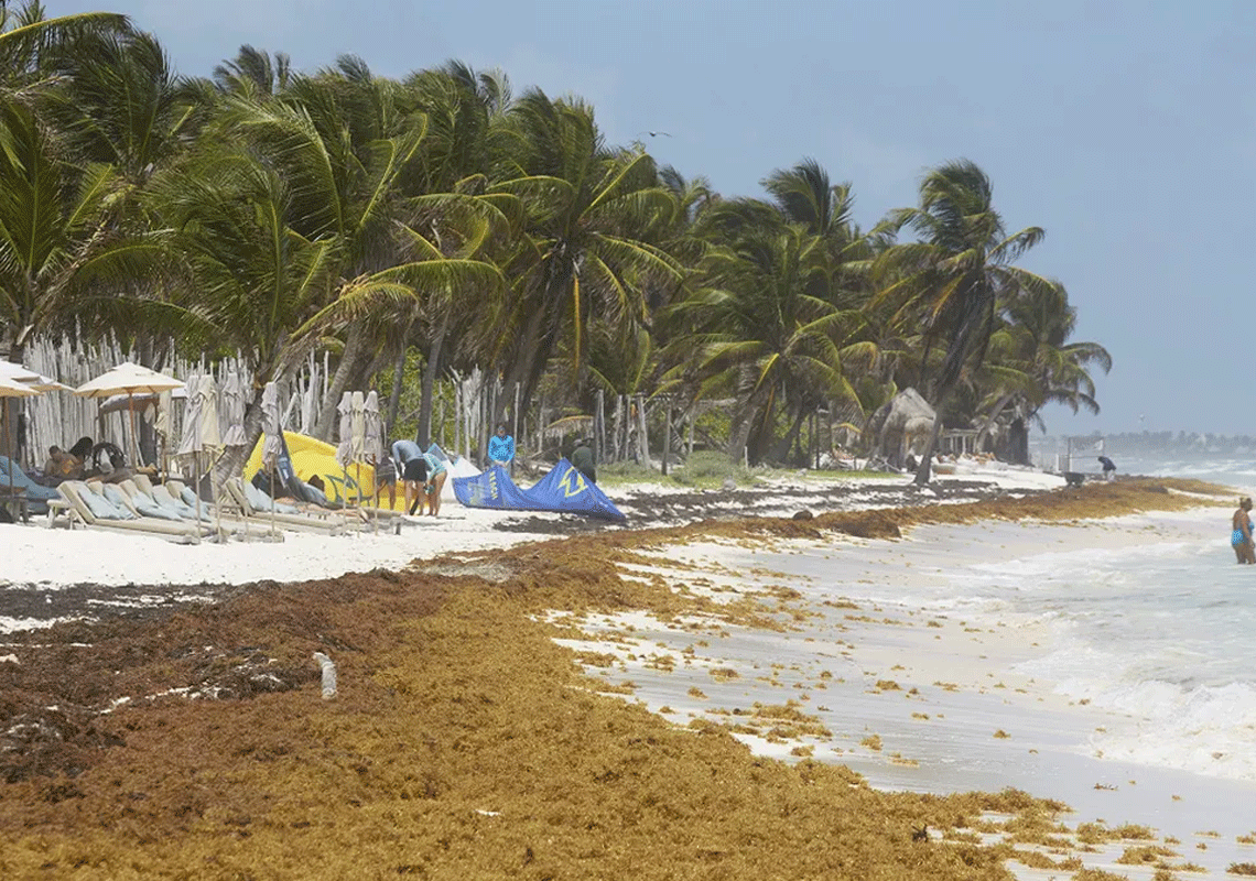 תיירת מלוס אנג'לס נהרגה במהלך מסיבת חוף בטולום: נקלעה לחילופי ירי בין כנופיות סמים