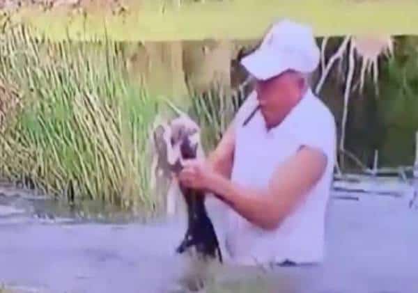 "סרטון השנה בפלורידה": עם הסיגר בפיו, האזרח הותיק נכנס לתוך הביצה, נלחם בתנין, וחילץ ממלתעותיו את גור הכלבים