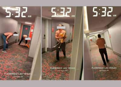 לילה של אכזריות בלאס וגאס: הפלמינגו "פיצ'י" חושף את גבולות האדישות האנושית