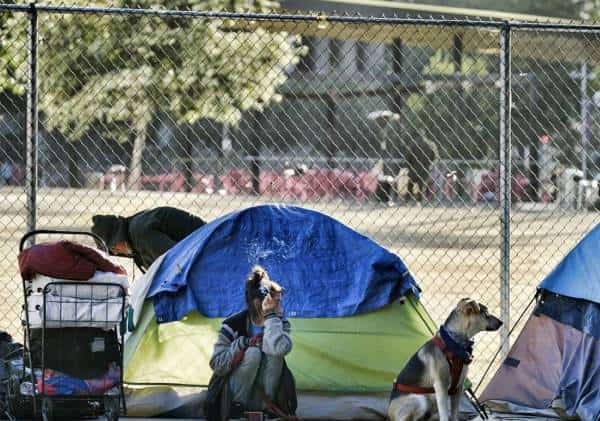 קקטוסים וגדרות: כך בעלי העסקים בלוס אנג'לס נלחמים במשבר ההומלסים