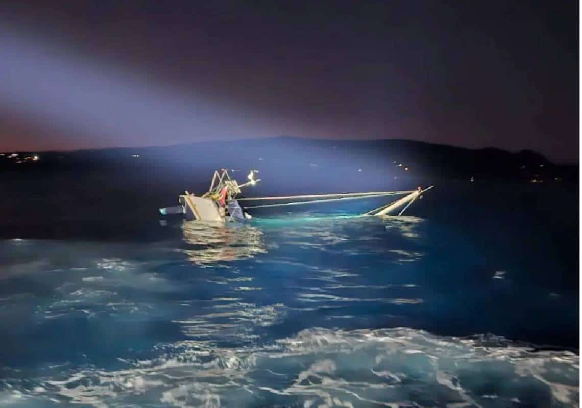 לווייתנים קטלניים הטביעו יאכטה בים התיכון 