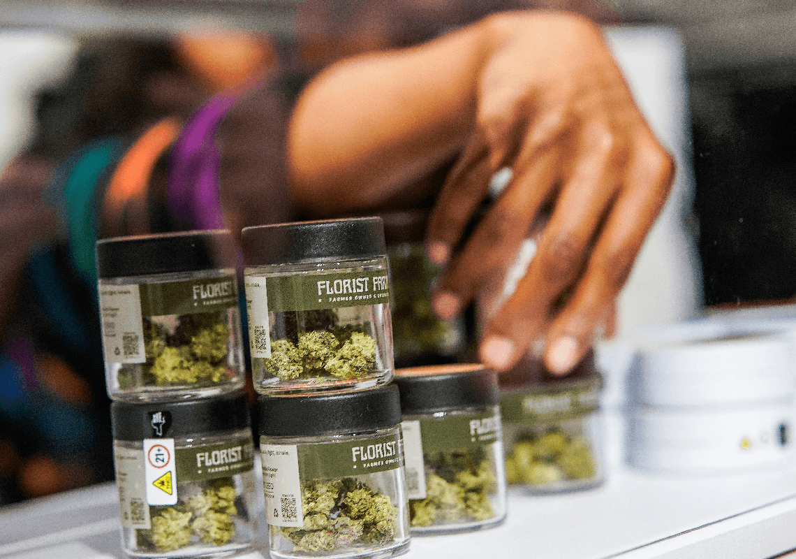 ירוק יותר וזול יותר: מהפכת המחירים בשוק הקנאביס בניו יורק