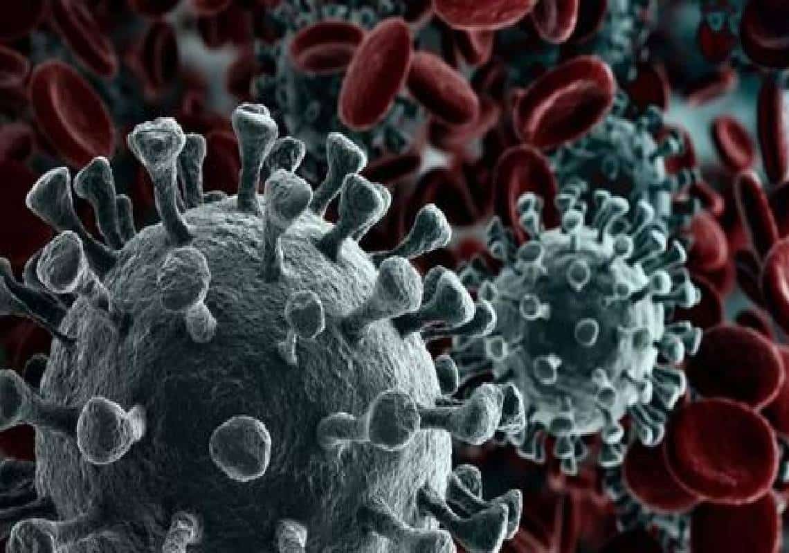 "המחקר הישראלי החשוב בהיסטוריה": רעידת אדמה מדעית - "למחוסנים פי 13 סיכוי לחלות בדלתא מאשר לבעלי חסינות טבעית"