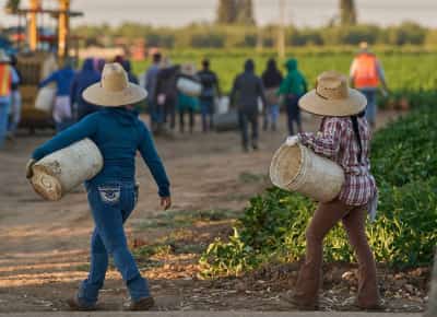 יותר ממיליון מהגרים נעלמו מכוח העבודה – והמשק האמריקני מתחיל לקרוס