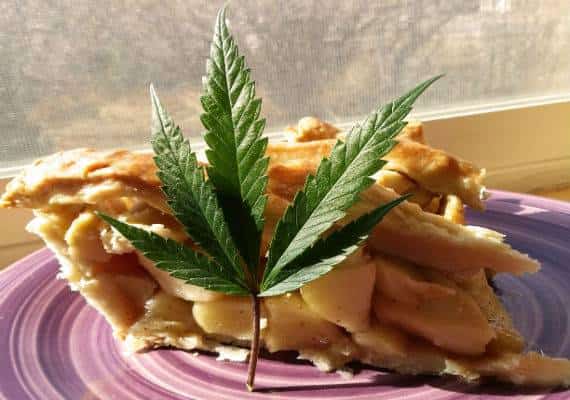 קנאביס גורמה: הצמח מככב בתפריטי המסעדות והשפים המפורסמים מכניסים אותו גם לארוחות יוקרה 