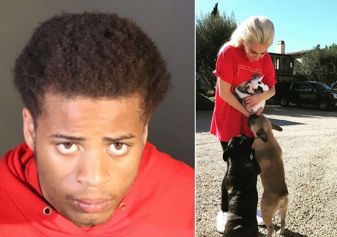 5 חודשים לאחר ששוחרר מהכלא בטעות: נעצר החשוד שירה ב"דוג ווקר" של ליידי גאגא