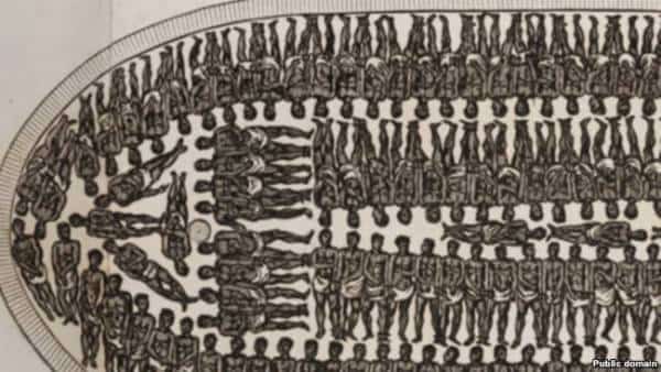  ירקות אמריקאים עם שורשים אפריקאים, אבל טעימים