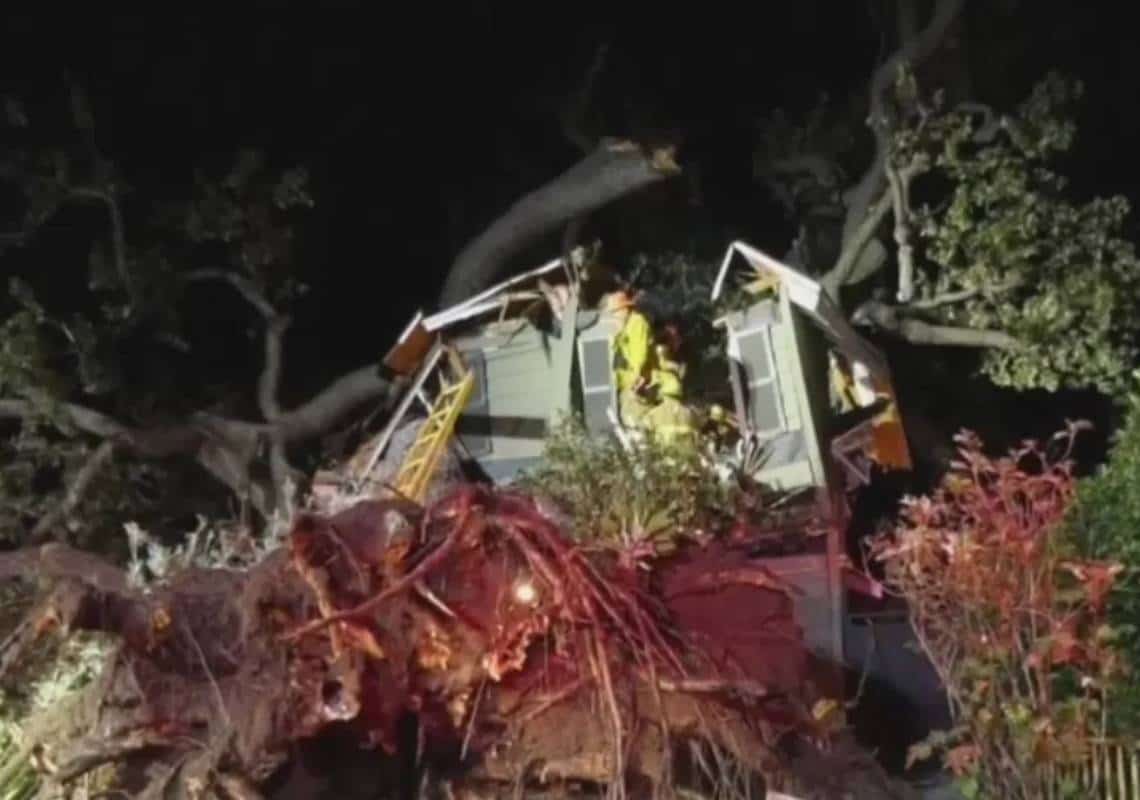 אסון בוואלי לוס אנג'לס: גבר נהרג מקריסת עץ באנסינו