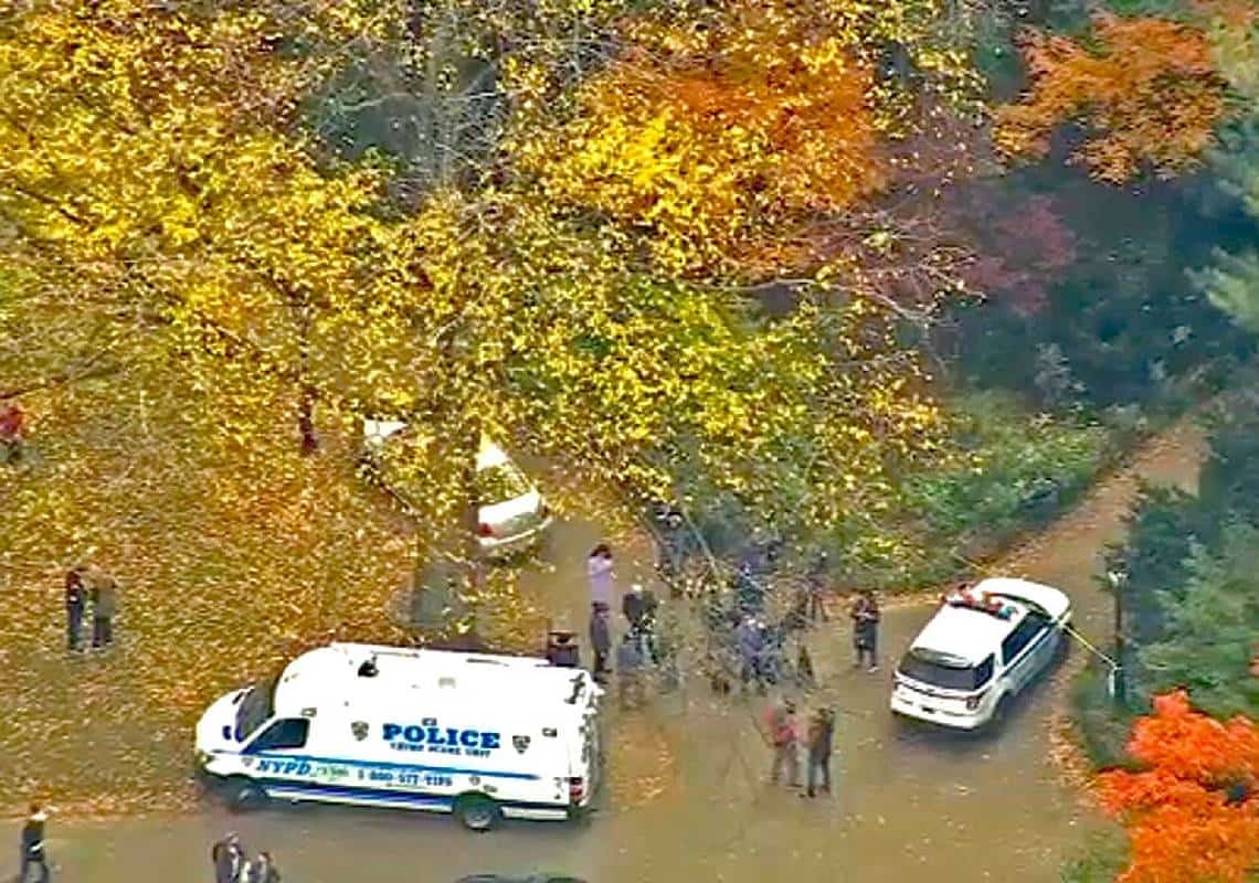 בוקר אלים בניו יורק: שתי נשים הותקפו מינית בלב ניו יורק