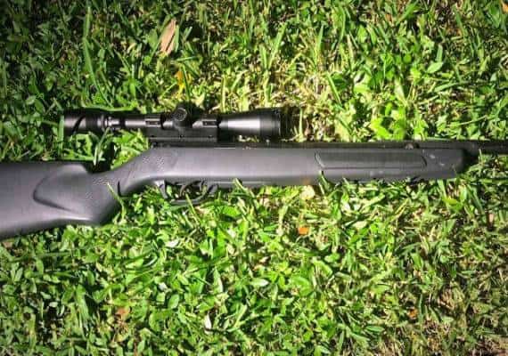 אכזרי: ירה בפניו של כלב עם רובה