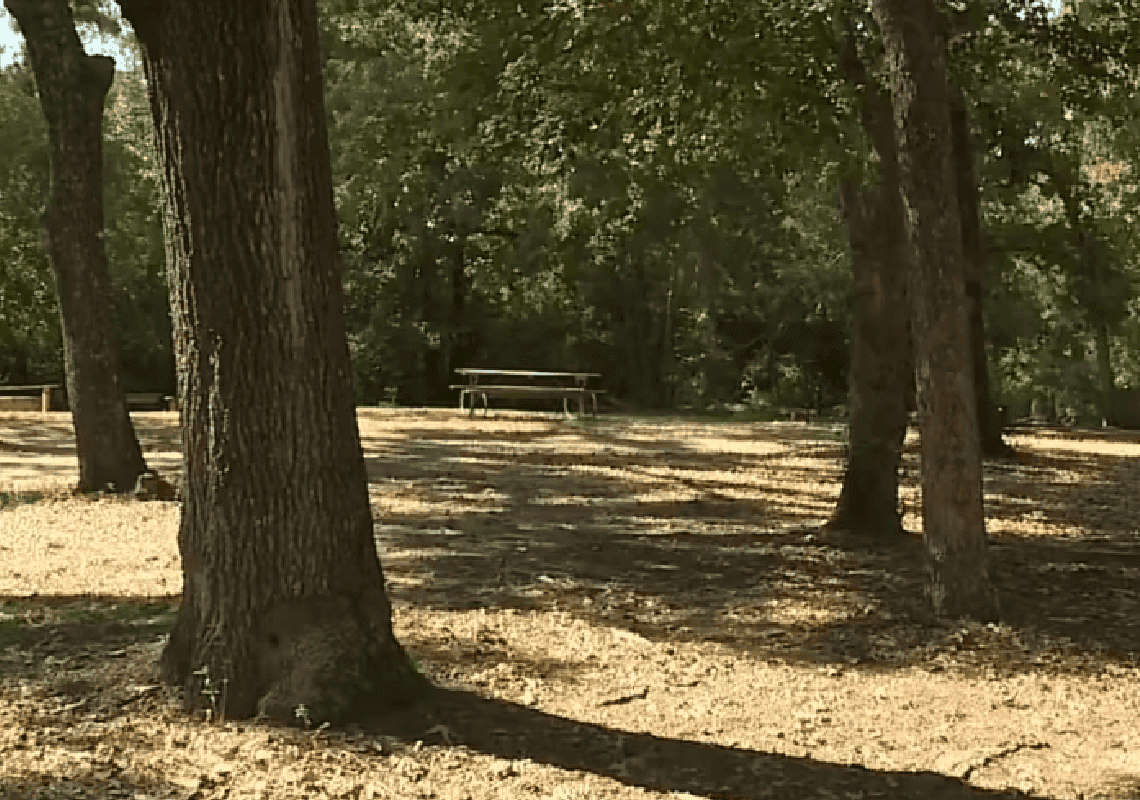 טקסס: אמא הגיעה לבית החולים ואמרה לרופאים שהיא רצחה את הבת שלה