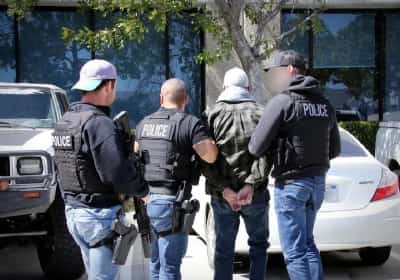 ניצלו מהתופת: עשרות ילדים נעדרים בפלורידה חולצו מרשת לניצול מיני