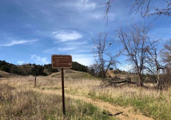 לוס אנג'לס: טיול הסופ"ש בקלבסס החל- ולפתע התגלו שרידי אדם