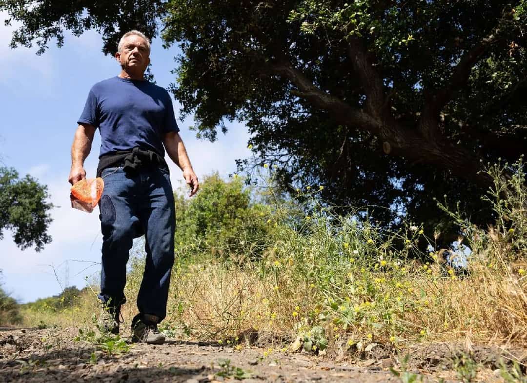 המועמד לנשיאות מודה שהשאיר גופת דוב מת בסנטרל פארק