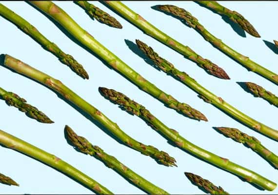 איזו תזונה יותר בריאה: ים תיכונית או צמחונית?