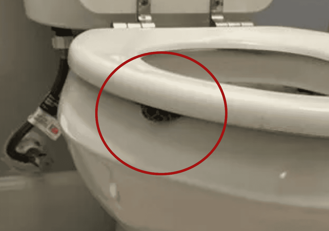 כמו מסרט אימה: קמה לשירותים באמצע לילה - וננשכה על ידי נחש