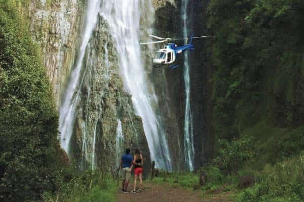  שתי אפשרויות לביקור בפארק יורה אמתי: אחת זולה באופן מפתיע והשניה יקרה להחריד 